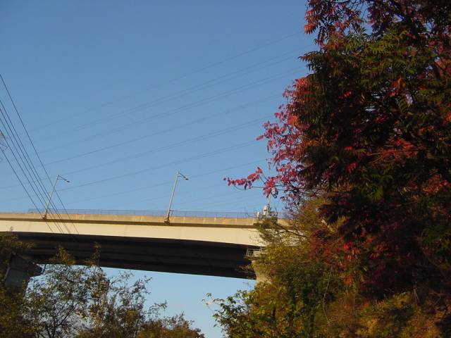 Dsc00363