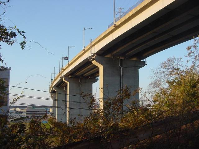 Dsc00365