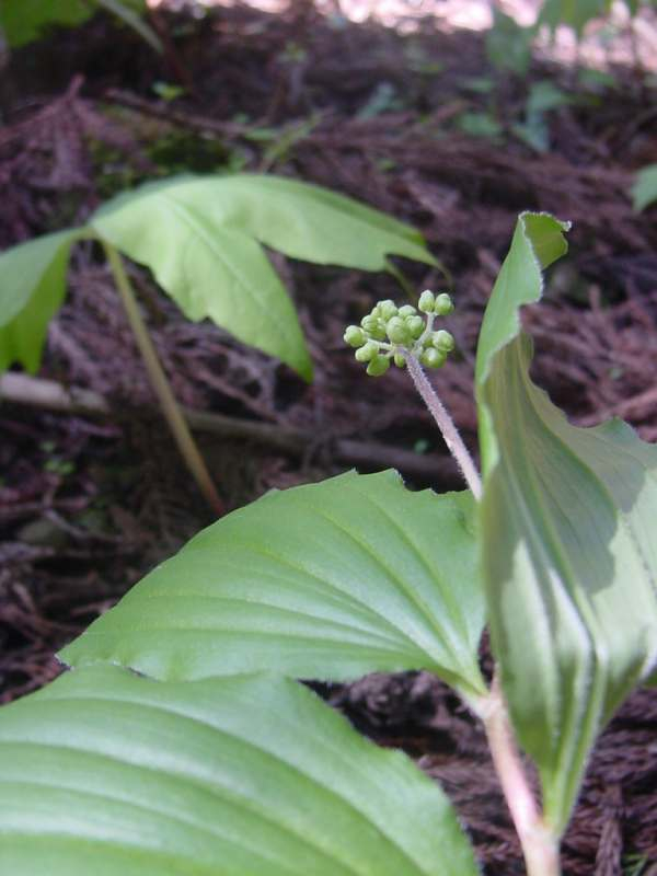 Dsc00365_3