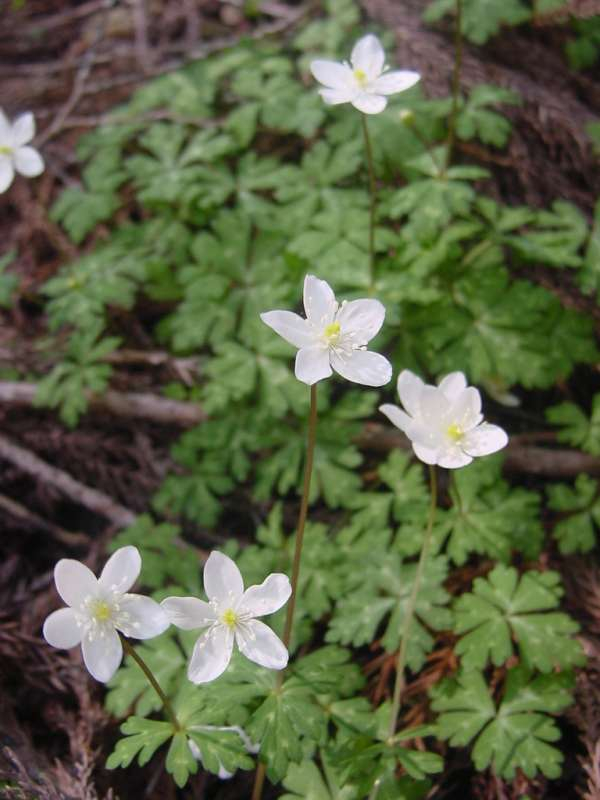 Dsc00372_2
