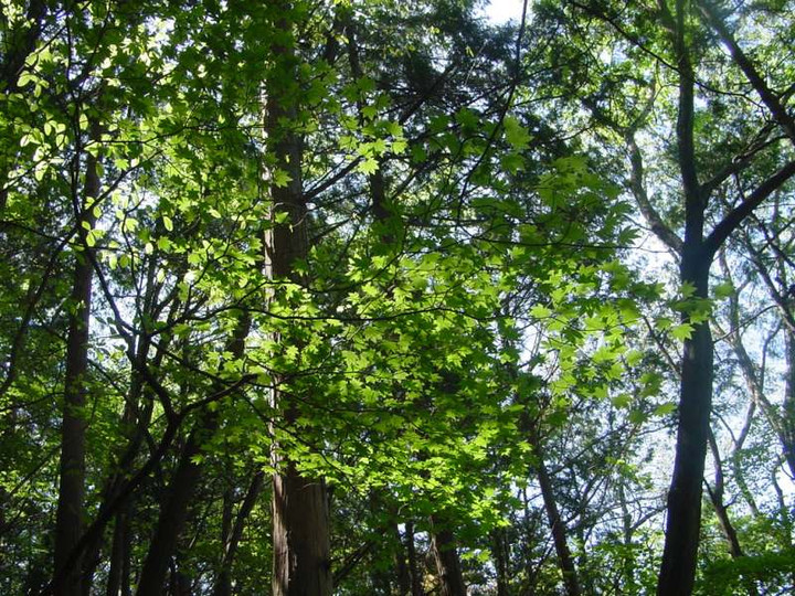 Dsc00376_2