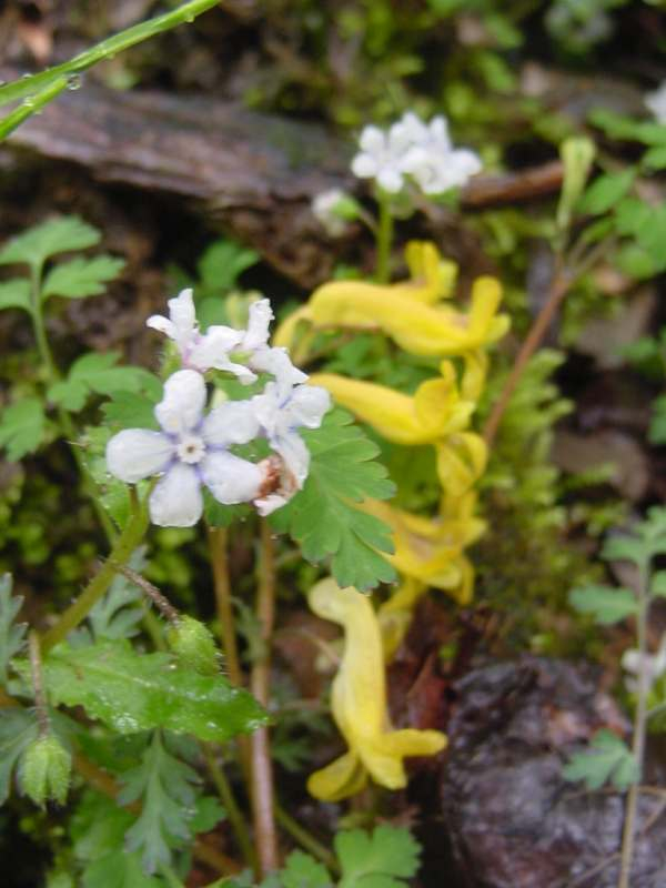 Dsc00377_2