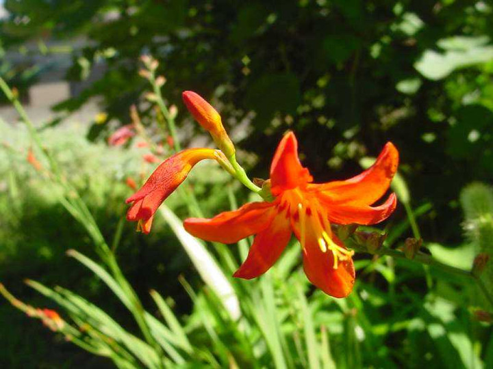 Dsc00380_1