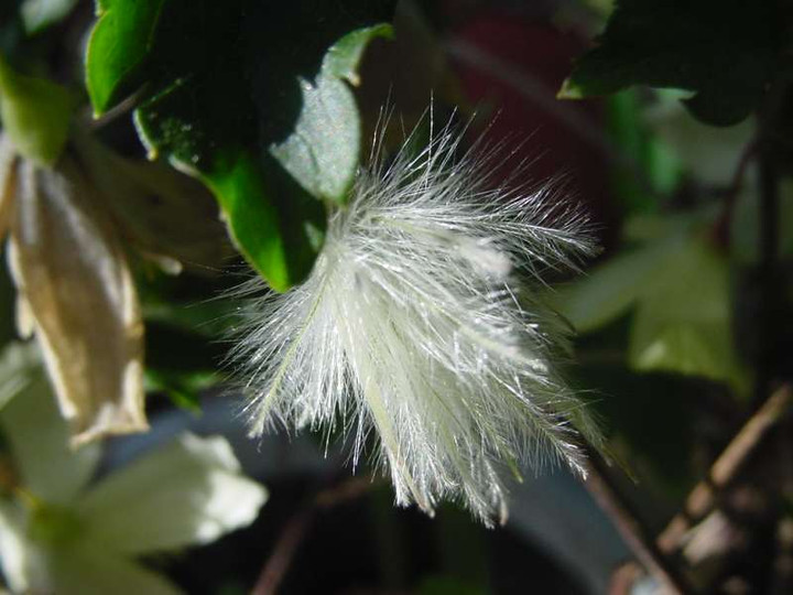 Dsc00384