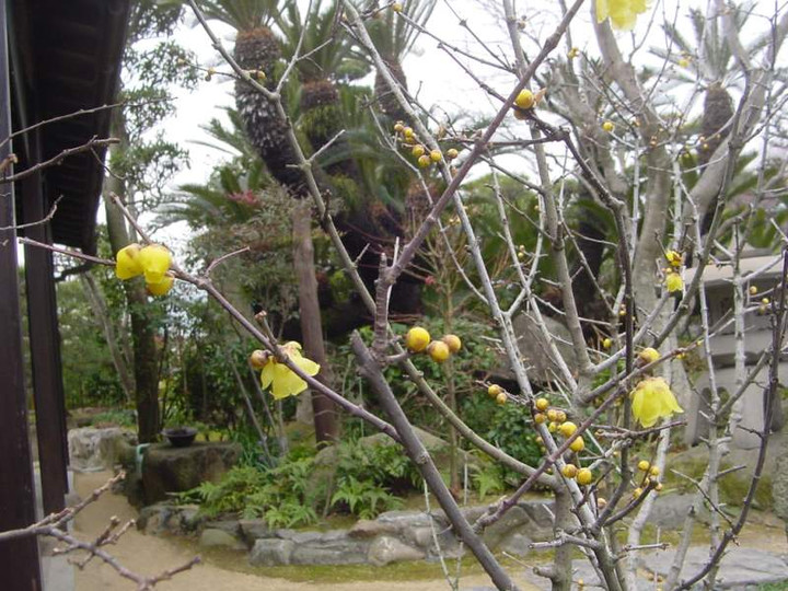 Dsc00390_1