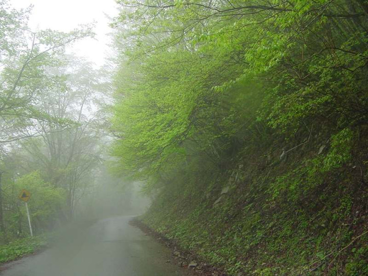 Dsc00395