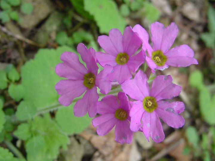 Dsc00400