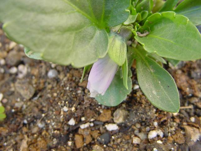 Dsc00403