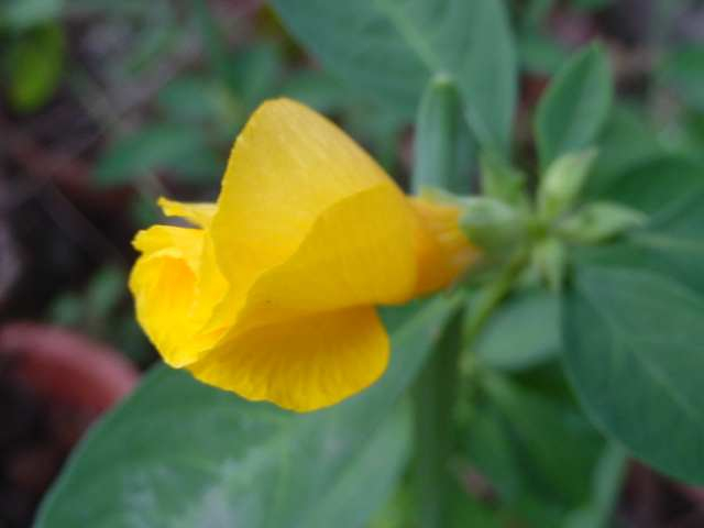 Dsc00421