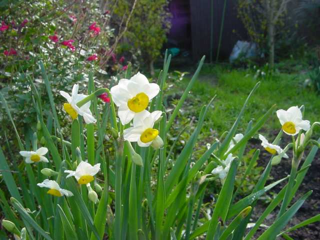 Dsc00429_1