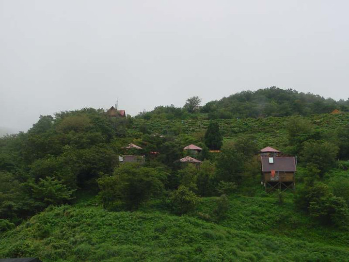 Dsc00429_4