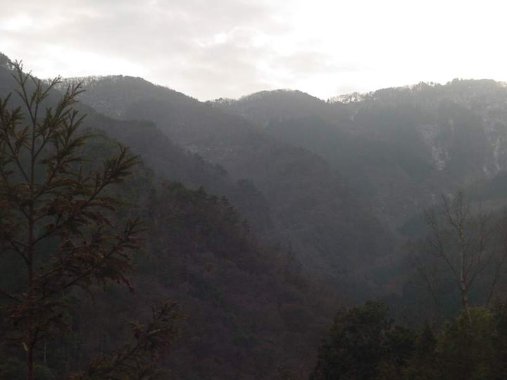 Dsc00432_1