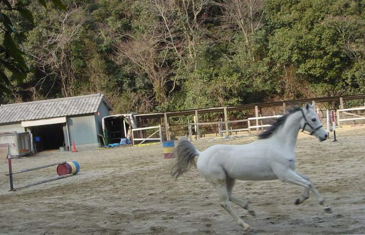 Dsc00437_1
