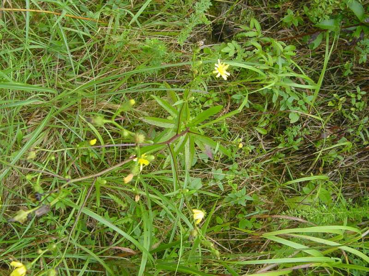 Dsc00440_4
