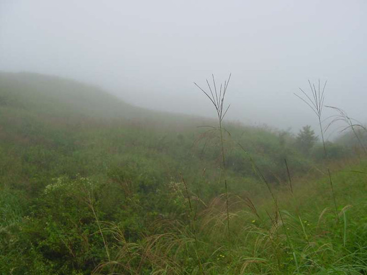 Dsc00441_1