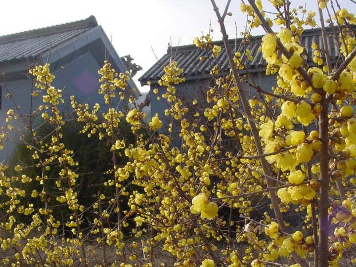 Dsc00444_3