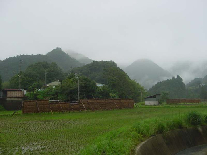 Dsc00450_1