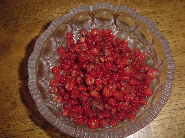 Dsc00451_3