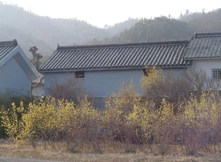 Dsc00452_1