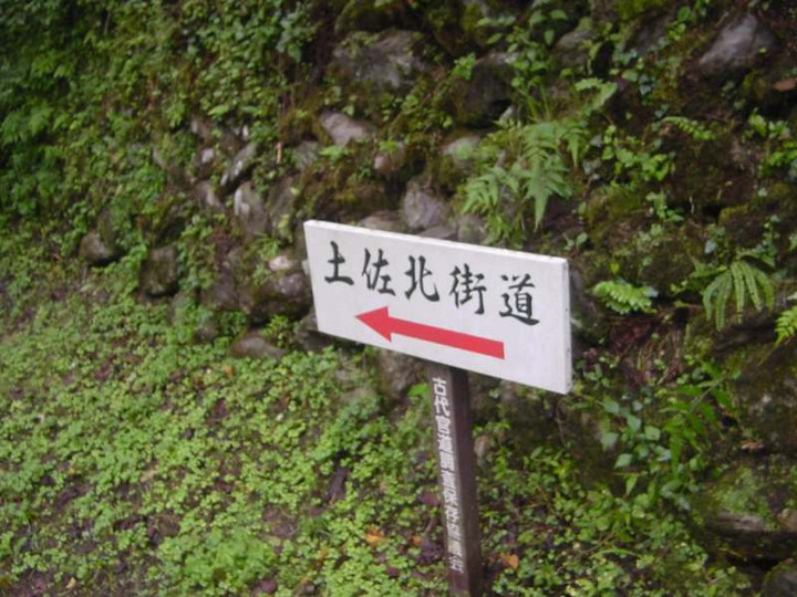 Dsc00454_1