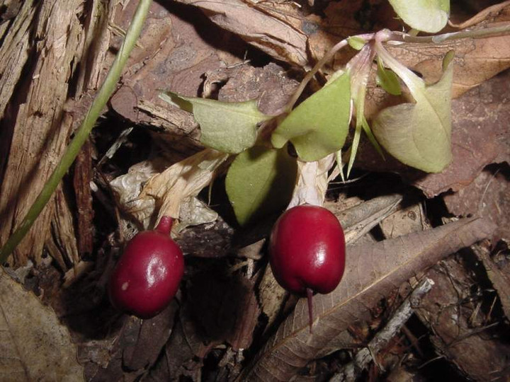 Dsc00457_1