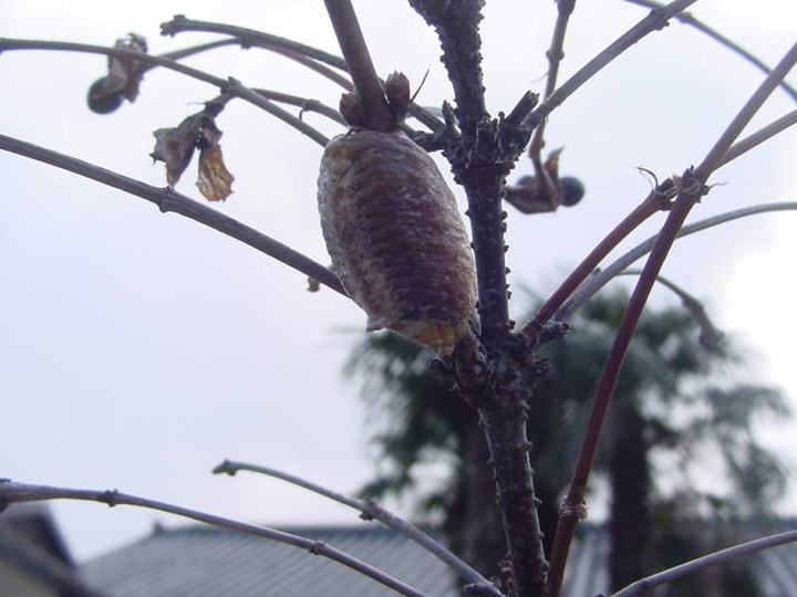 Dsc00464