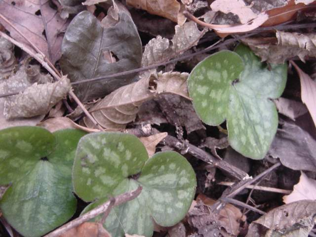 Dsc00467