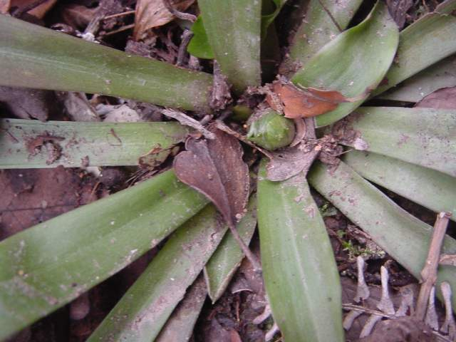 Dsc00468