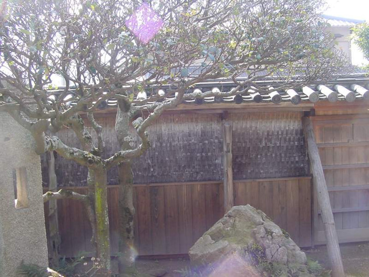Dsc00475_1