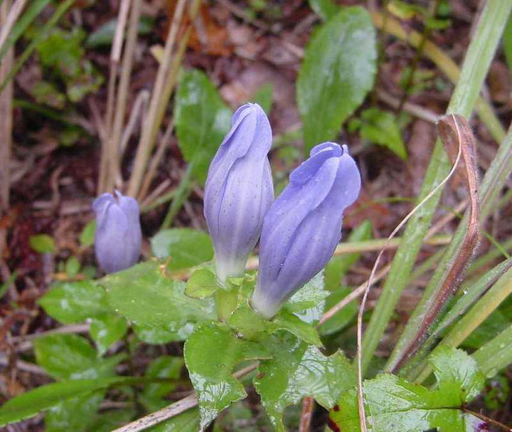 Dsc00475_3