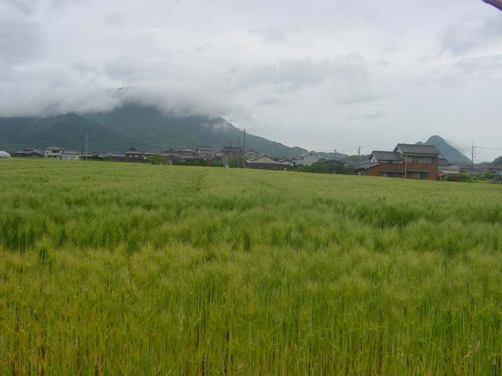 Dsc00480