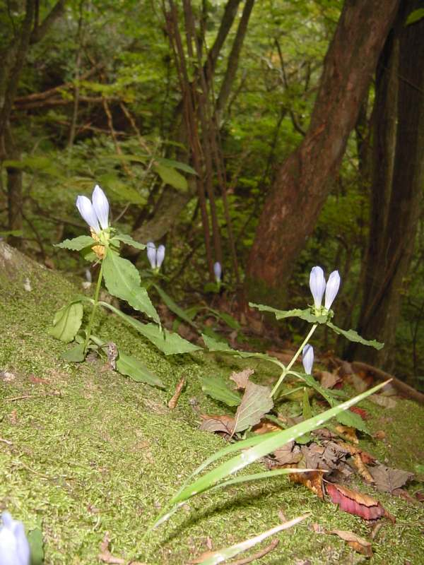 Dsc00480_2