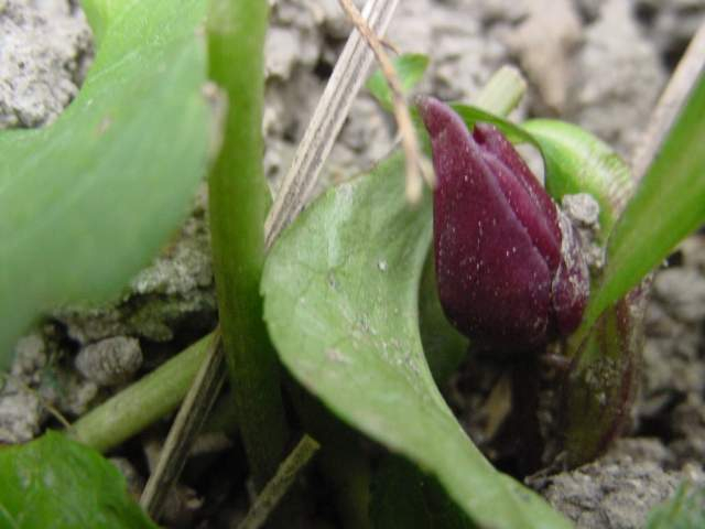 Dsc00484_1