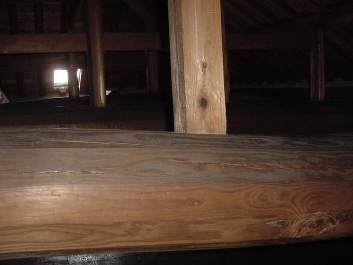 Dsc00488