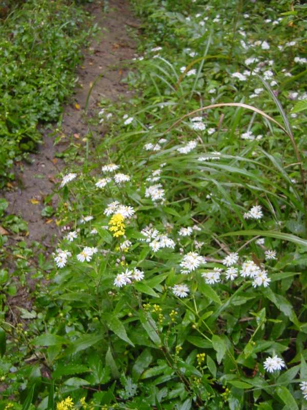 Dsc00488_2