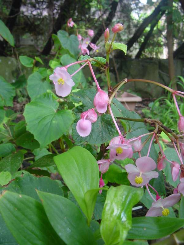 Dsc00490_1