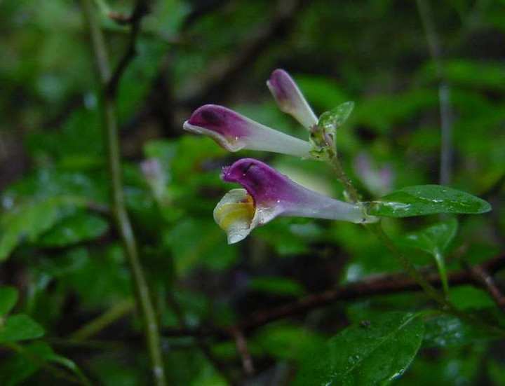 Dsc00504_1