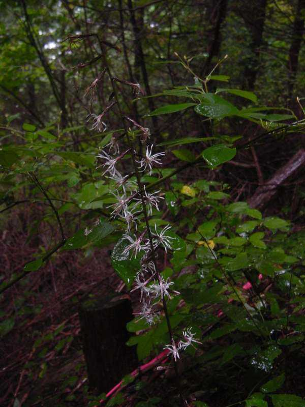 Dsc00512_3