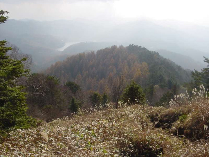 Dsc00532_1