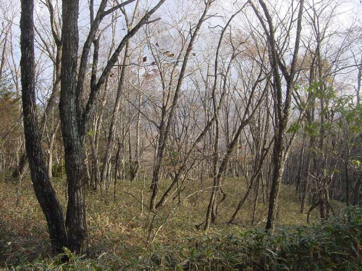 Dsc00540