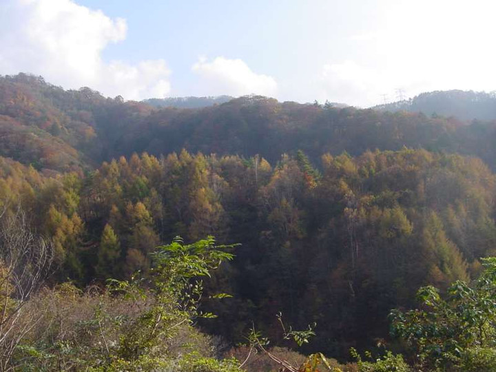 Dsc00544_1