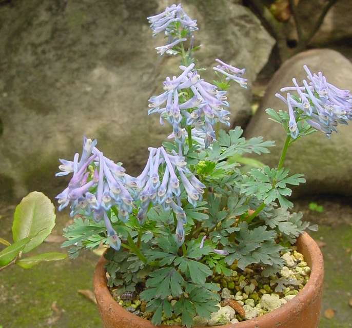 Dsc00561