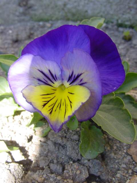 Dsc00566_2