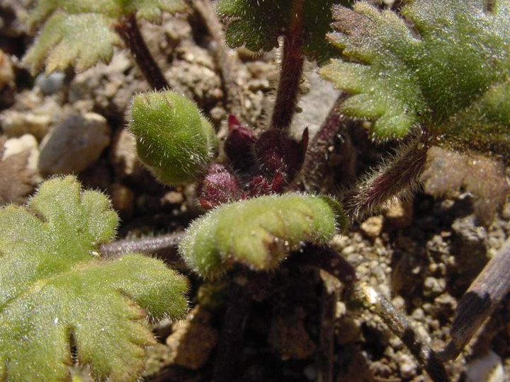 Dsc00567