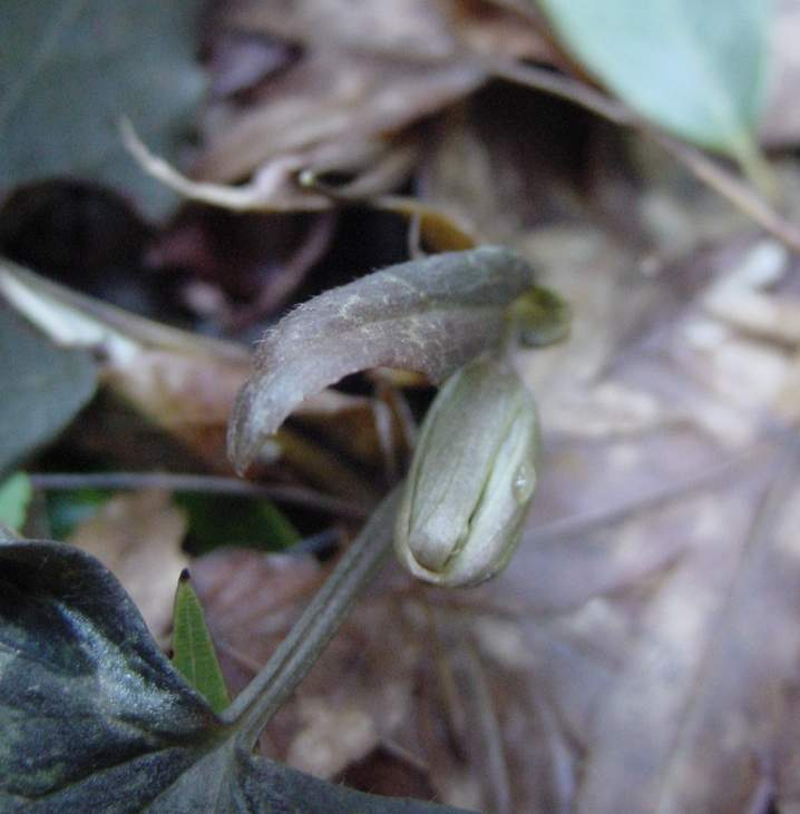 Dsc00587