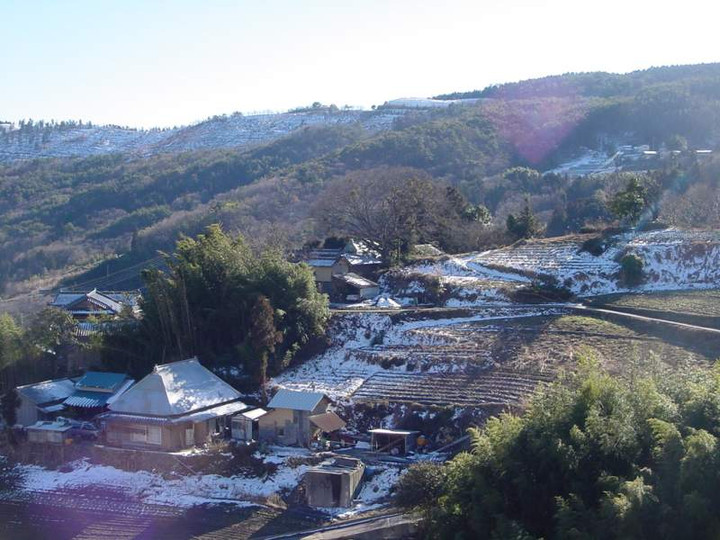 Dsc00603
