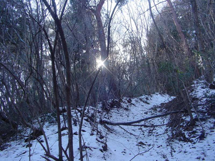 Dsc00606