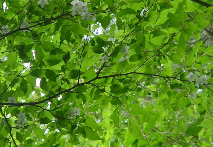 Dsc00614_2