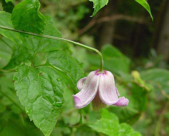 Dsc00616_3