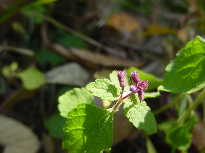 Dsc00632_3